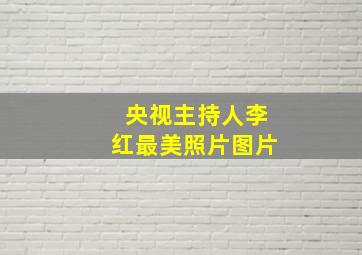 央视主持人李红最美照片图片