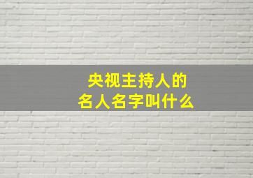 央视主持人的名人名字叫什么