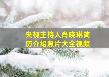 央视主持人肖晓琳简历介绍照片大全视频