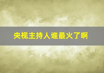 央视主持人谁最火了啊