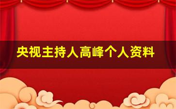 央视主持人高峰个人资料