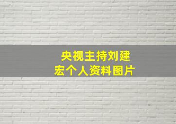 央视主持刘建宏个人资料图片