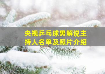 央视乒乓球男解说主持人名单及照片介绍