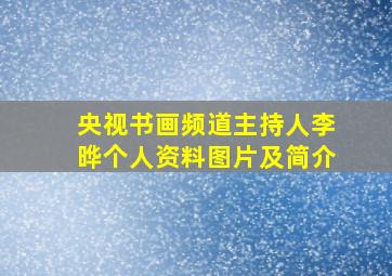 央视书画频道主持人李晔个人资料图片及简介