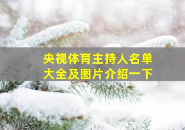 央视体育主持人名单大全及图片介绍一下