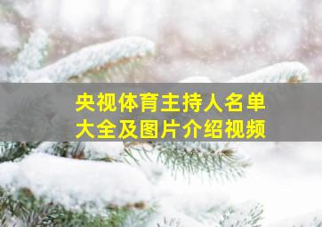 央视体育主持人名单大全及图片介绍视频