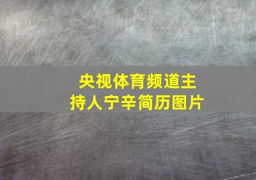 央视体育频道主持人宁辛简历图片