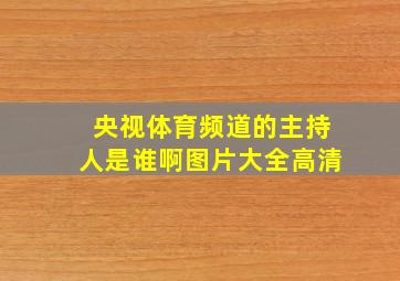 央视体育频道的主持人是谁啊图片大全高清