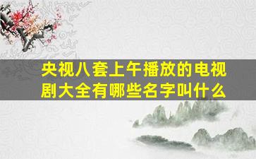 央视八套上午播放的电视剧大全有哪些名字叫什么