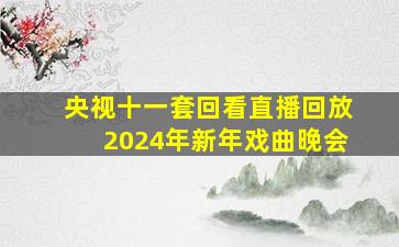 央视十一套回看直播回放2024年新年戏曲晚会