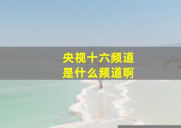 央视十六频道是什么频道啊