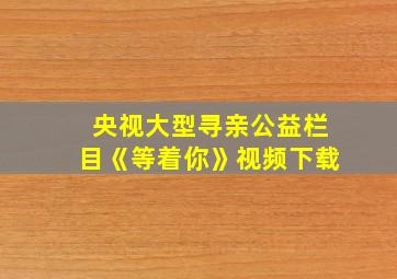 央视大型寻亲公益栏目《等着你》视频下载