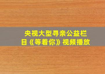 央视大型寻亲公益栏目《等着你》视频播放