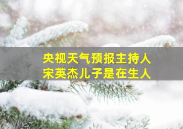 央视天气预报主持人宋英杰儿子是在生人