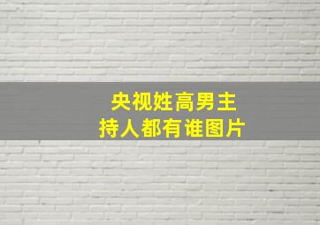 央视姓高男主持人都有谁图片