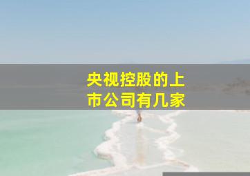 央视控股的上市公司有几家