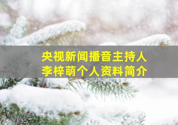 央视新闻播音主持人李梓萌个人资料简介