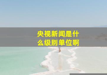 央视新闻是什么级别单位啊