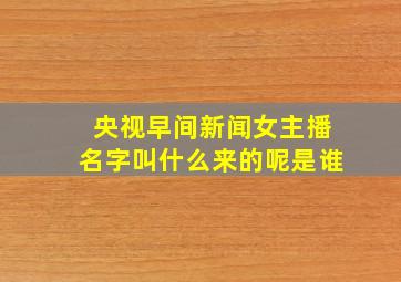 央视早间新闻女主播名字叫什么来的呢是谁