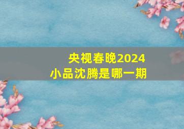 央视春晚2024小品沈腾是哪一期