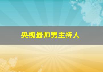 央视最帅男主持人