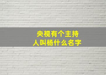 央视有个主持人叫杨什么名字