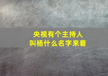 央视有个主持人叫杨什么名字来着