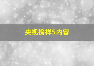 央视榜样5内容