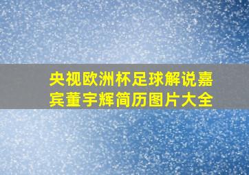 央视欧洲杯足球解说嘉宾董宇辉简历图片大全