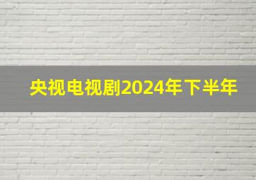 央视电视剧2024年下半年