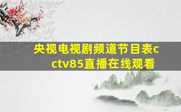 央视电视剧频道节目表cctv85直播在线观看