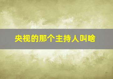 央视的那个主持人叫啥