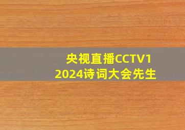 央视直播CCTV12024诗词大会先生