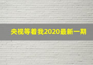 央视等着我2020最新一期