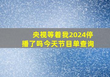 央视等着我2024停播了吗今天节目单查询