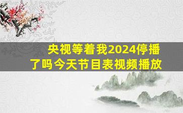 央视等着我2024停播了吗今天节目表视频播放