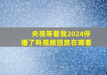 央视等着我2024停播了吗视频回放在哪看