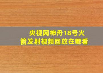 央视网神舟18号火箭发射视频回放在哪看