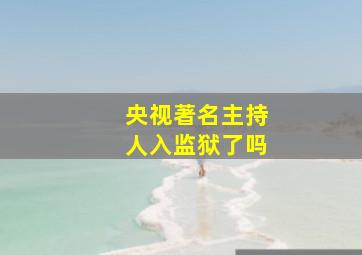 央视著名主持人入监狱了吗