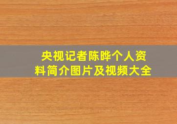 央视记者陈晔个人资料简介图片及视频大全