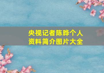 央视记者陈晔个人资料简介图片大全