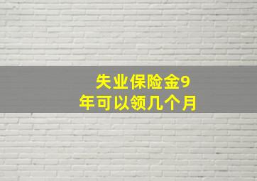 失业保险金9年可以领几个月