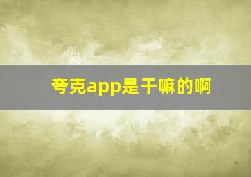 夸克app是干嘛的啊