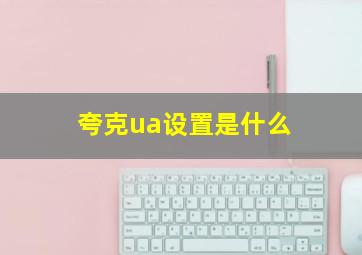 夸克ua设置是什么