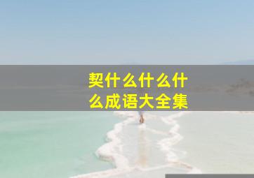 契什么什么什么成语大全集