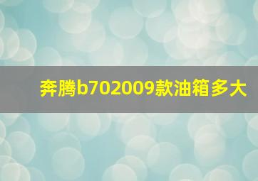 奔腾b702009款油箱多大