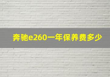 奔驰e260一年保养费多少