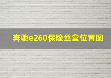 奔驰e260保险丝盒位置图