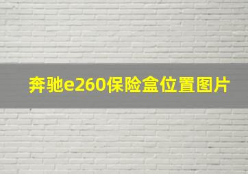 奔驰e260保险盒位置图片