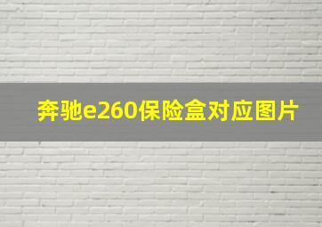 奔驰e260保险盒对应图片